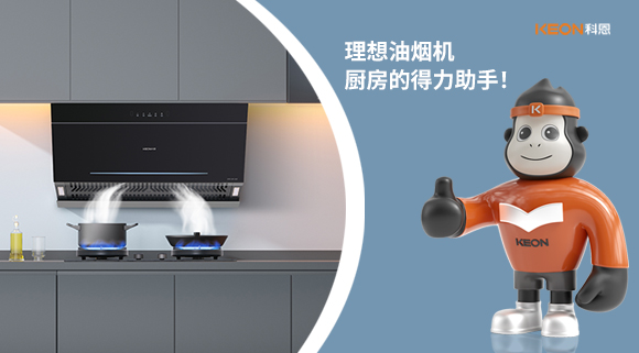 理想油煙機(jī)：廚房的得力助手！